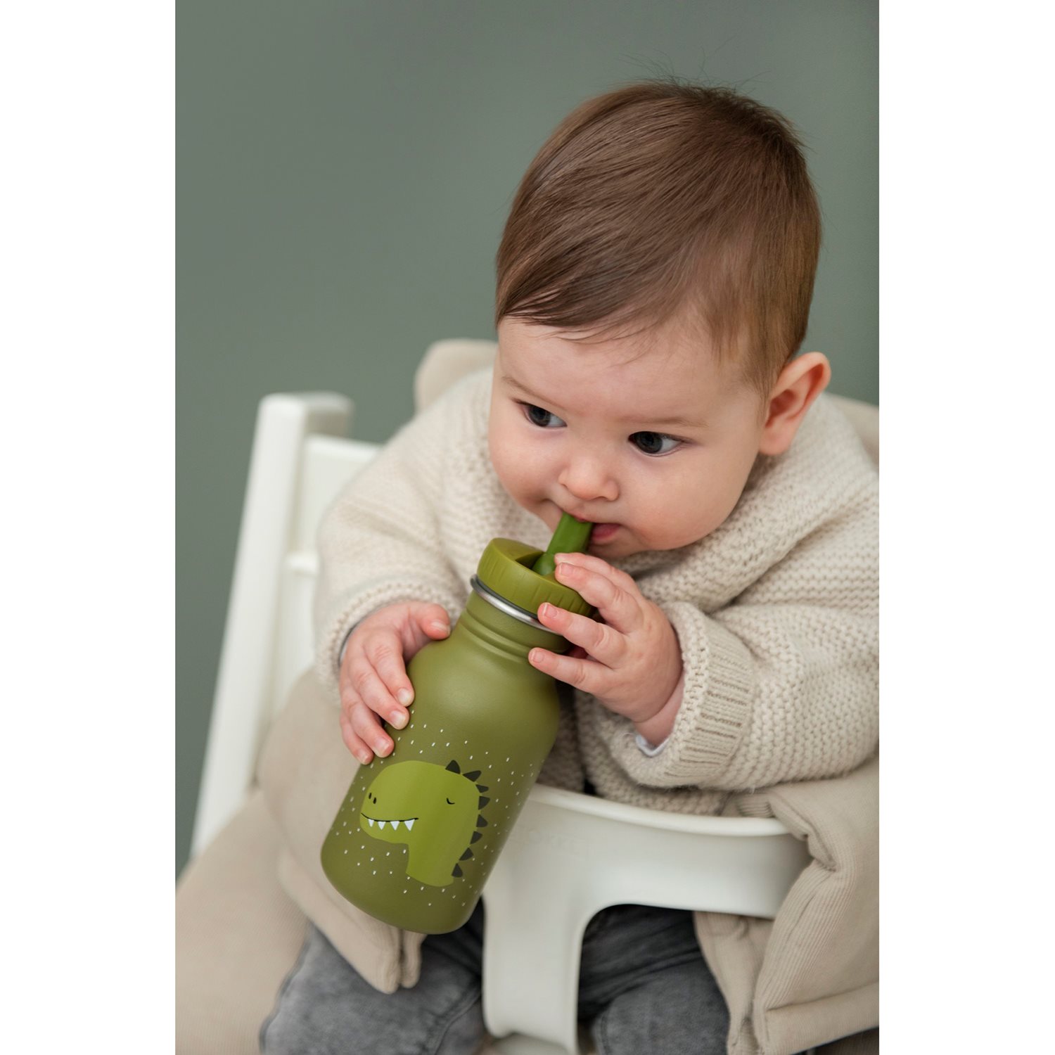 Trixie Mr. Tiger Bottle 350ml brown