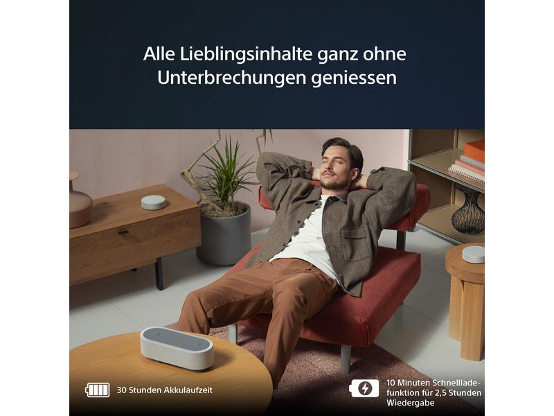 Sony HT-AX7 Grau Tragbares Entertainment-System mit 360 Spatial Sound Mapping