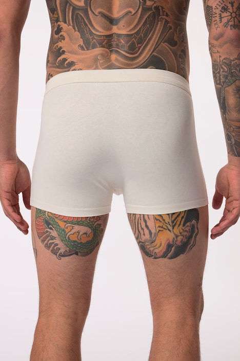 JP AWARE Hip-Pants im 2er-Pack, GOTS zertifizierte Biobaumwolle, Bauchfit, bis 7 XL
