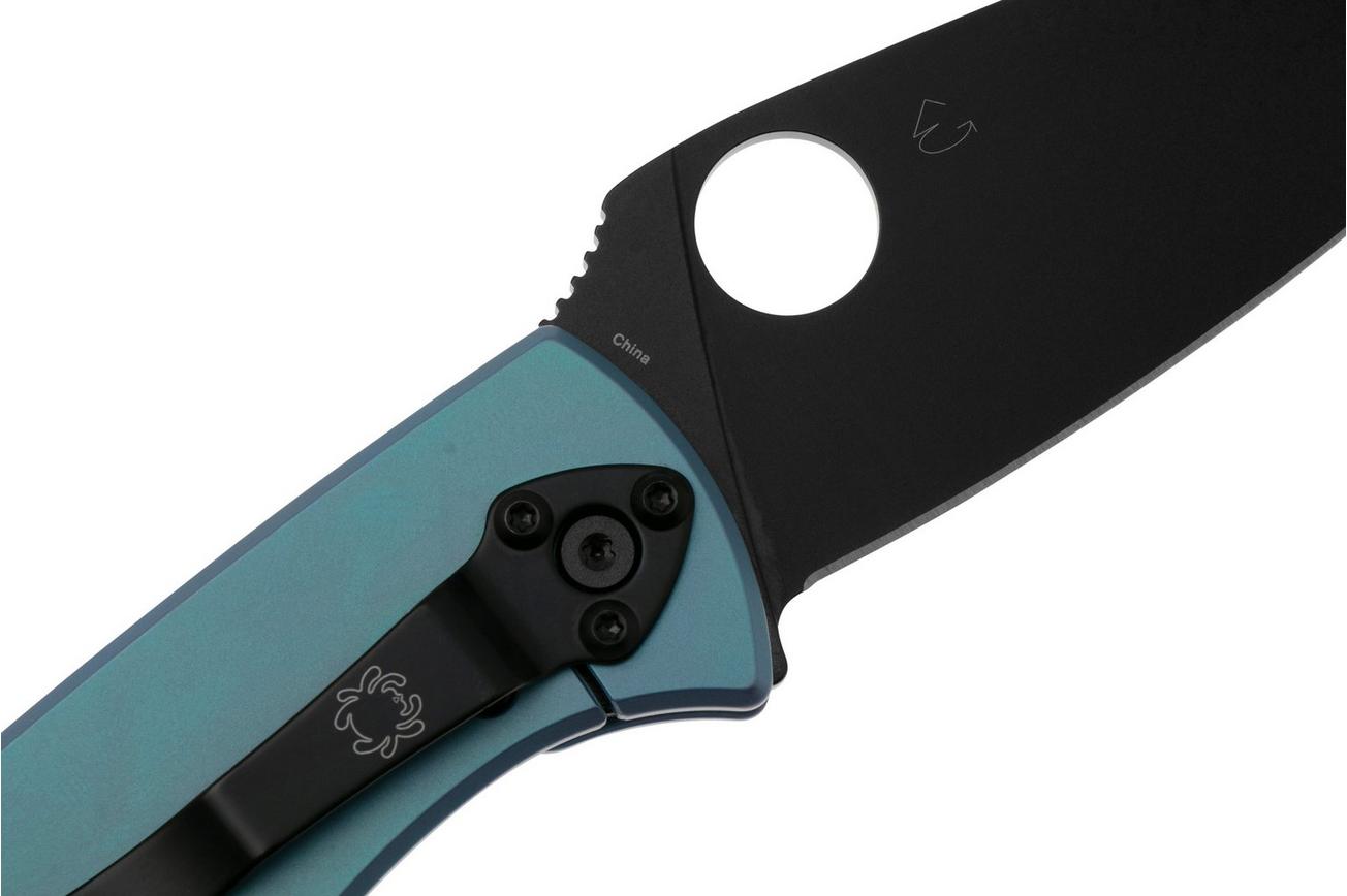 Spyderco Tenacious Black C122TIBLBKP Blue Titanium zakmes