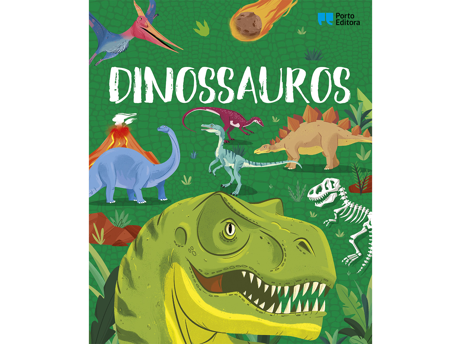LIVRO ENCICLOPÉDIA DOS CURIOSOS - DINOSSAUROS
