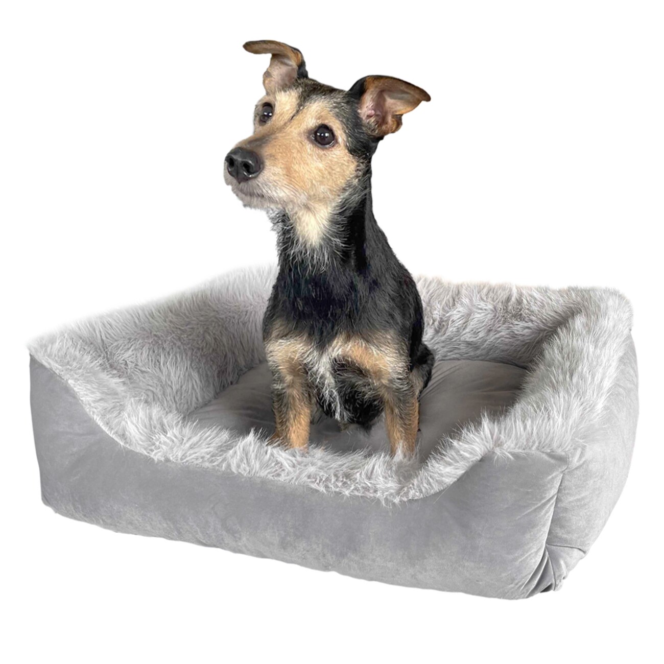 Wallace & Jones Hundebett MAYFAIR silber/ grau S