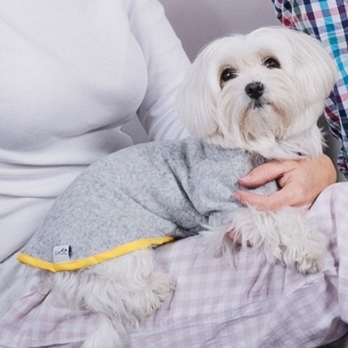 Camiseta Nun Home para cães, cinza