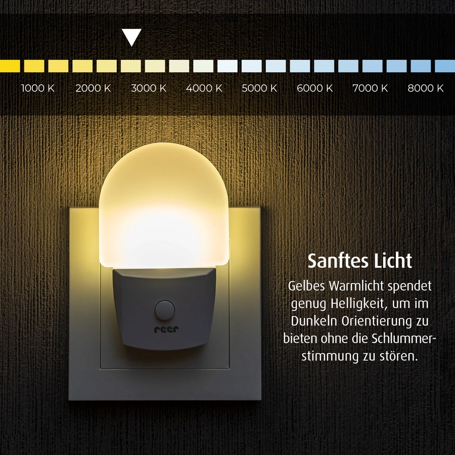 reer Nachtlicht  - Nightguide