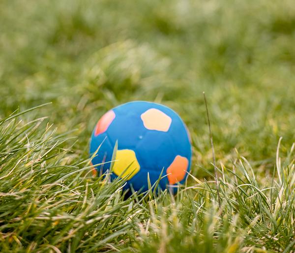 Nobby Hundespielzeug Latex-Fußball farblich