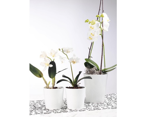 Soendgen Merina keramische bloempot, Ø 14 cm, H 15 cm, wit