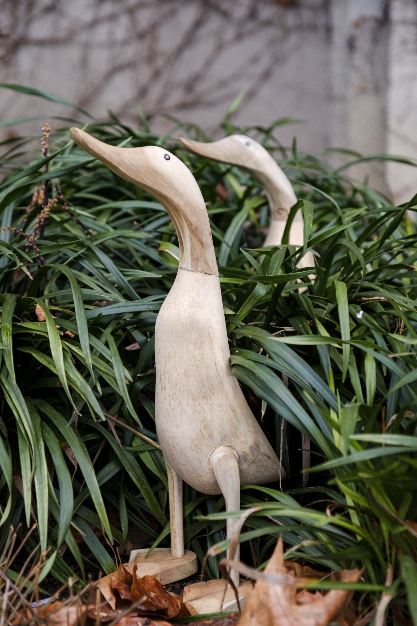 Ente 'Halus' aus Wurzelholz, mittel, H ca. 40-45 cm von fischer's lagerhaus