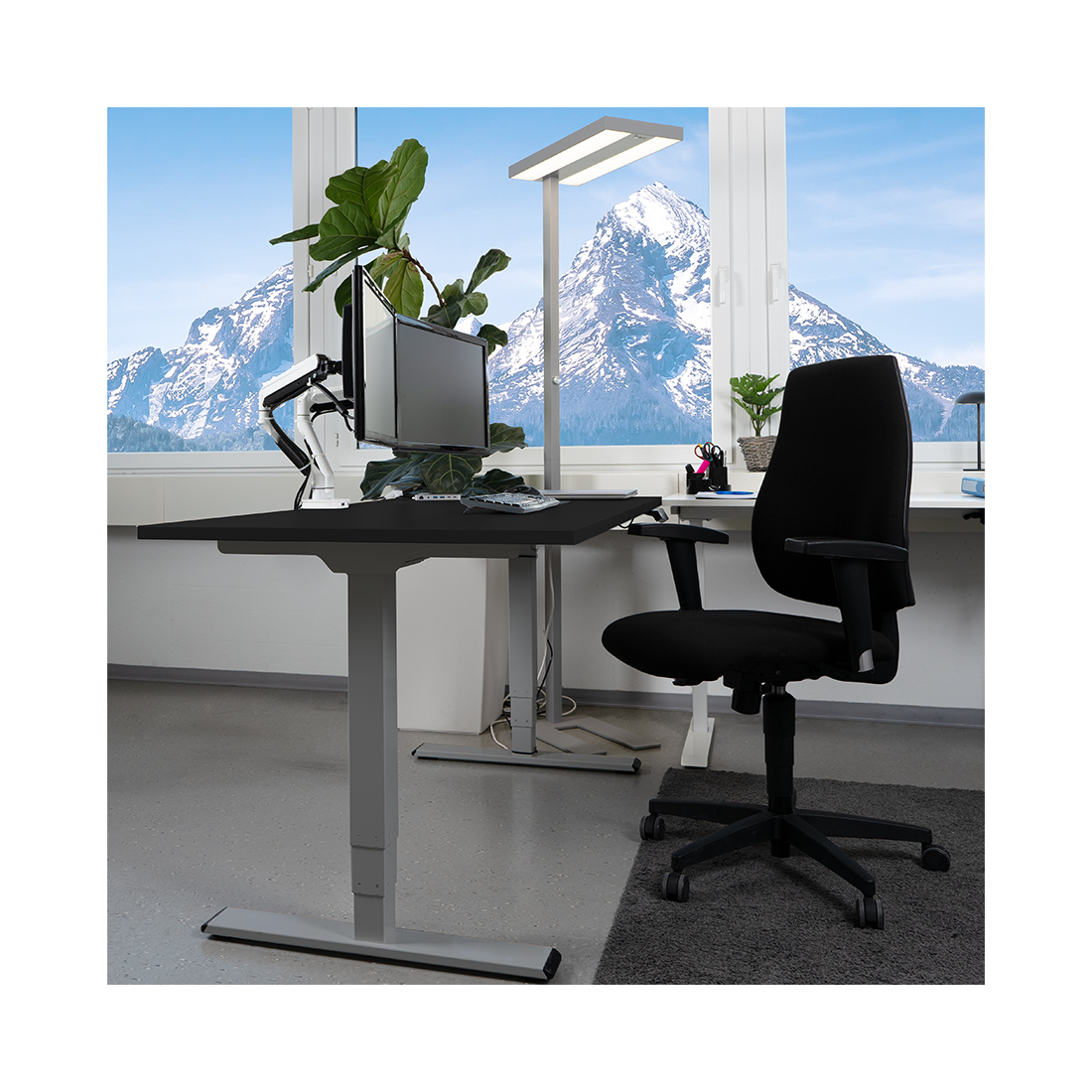 Contini höhenverstellbarer Bürotisch 1.6x0.8m Schwarz / Gestell dunkelgrau