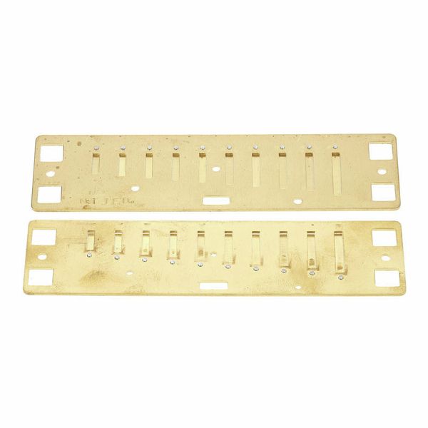 Lee Oskar Harmonic Minor Reedplates D