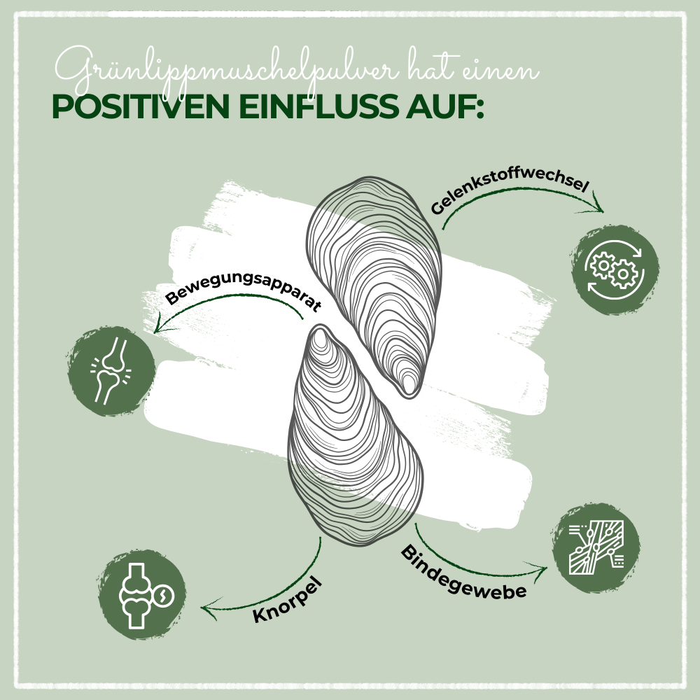 LAPURA Grünlippmuschelpulver<br>250 g, Dose, Pulver