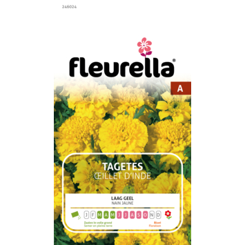 Fleurella zaden tagetes geel
