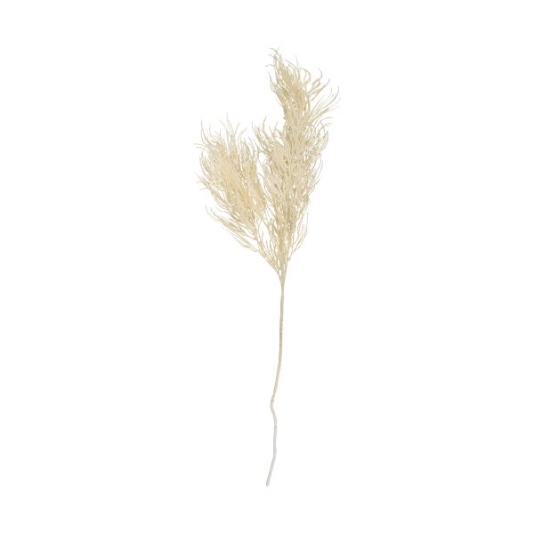 Present Time Arti Cial Tak Asparagus - Zand