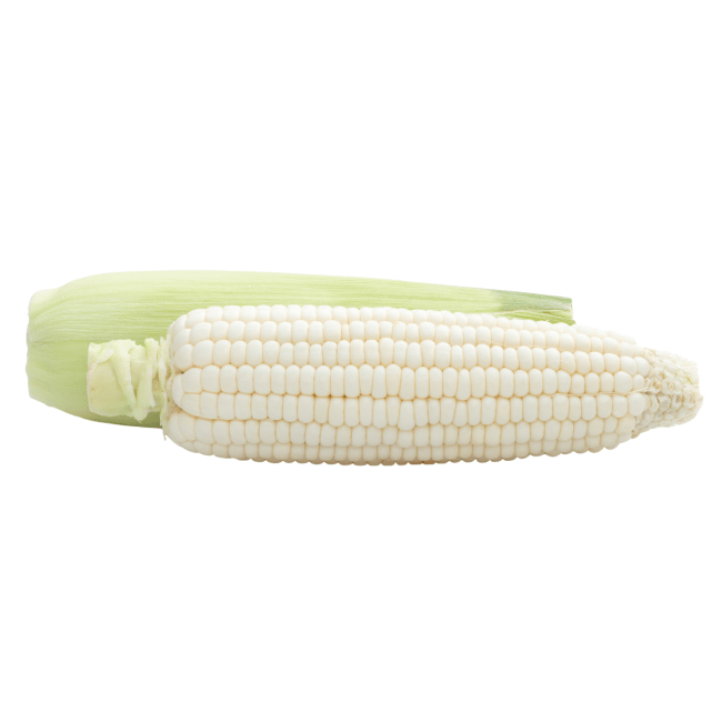 Dag Vers White Waxy Corn per stuk