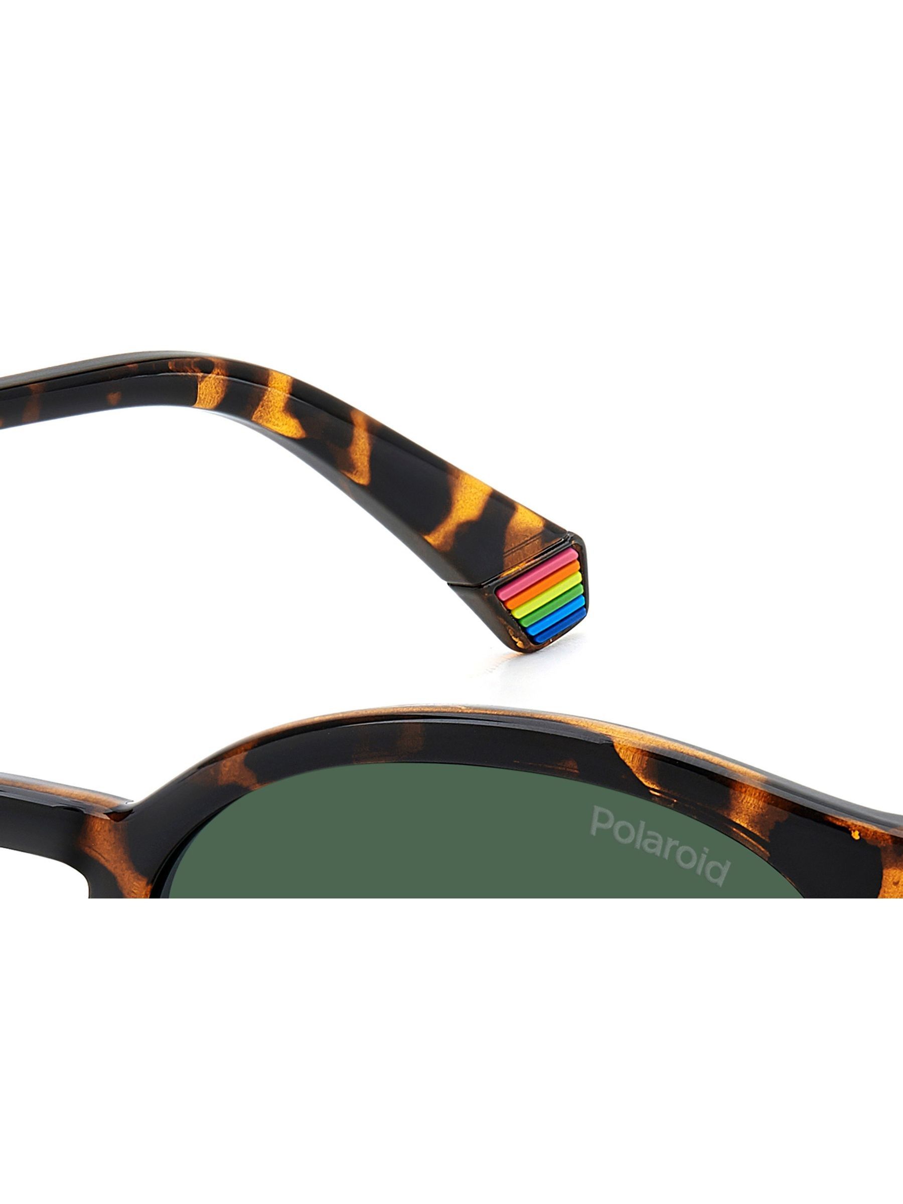 Polaroid Havanas Panthos Brown Sunglasses