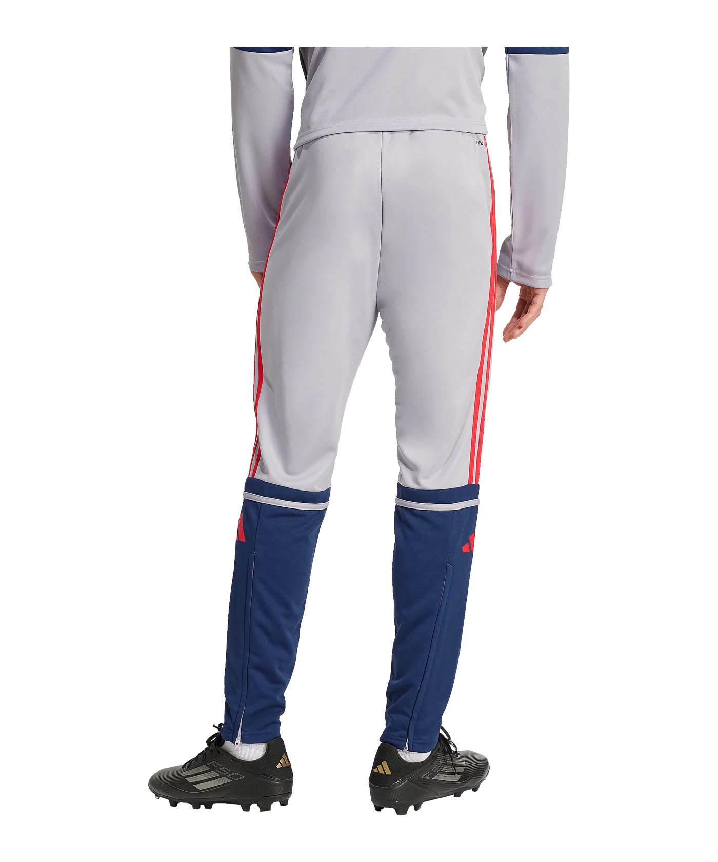 adidas Squadra 25 Trainingshose Grau