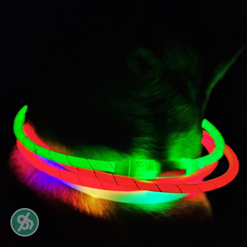 Trixie Flash Lichtgevende Halsband USB Hond | Oranje - M/L - 45 cm | 13576.4
