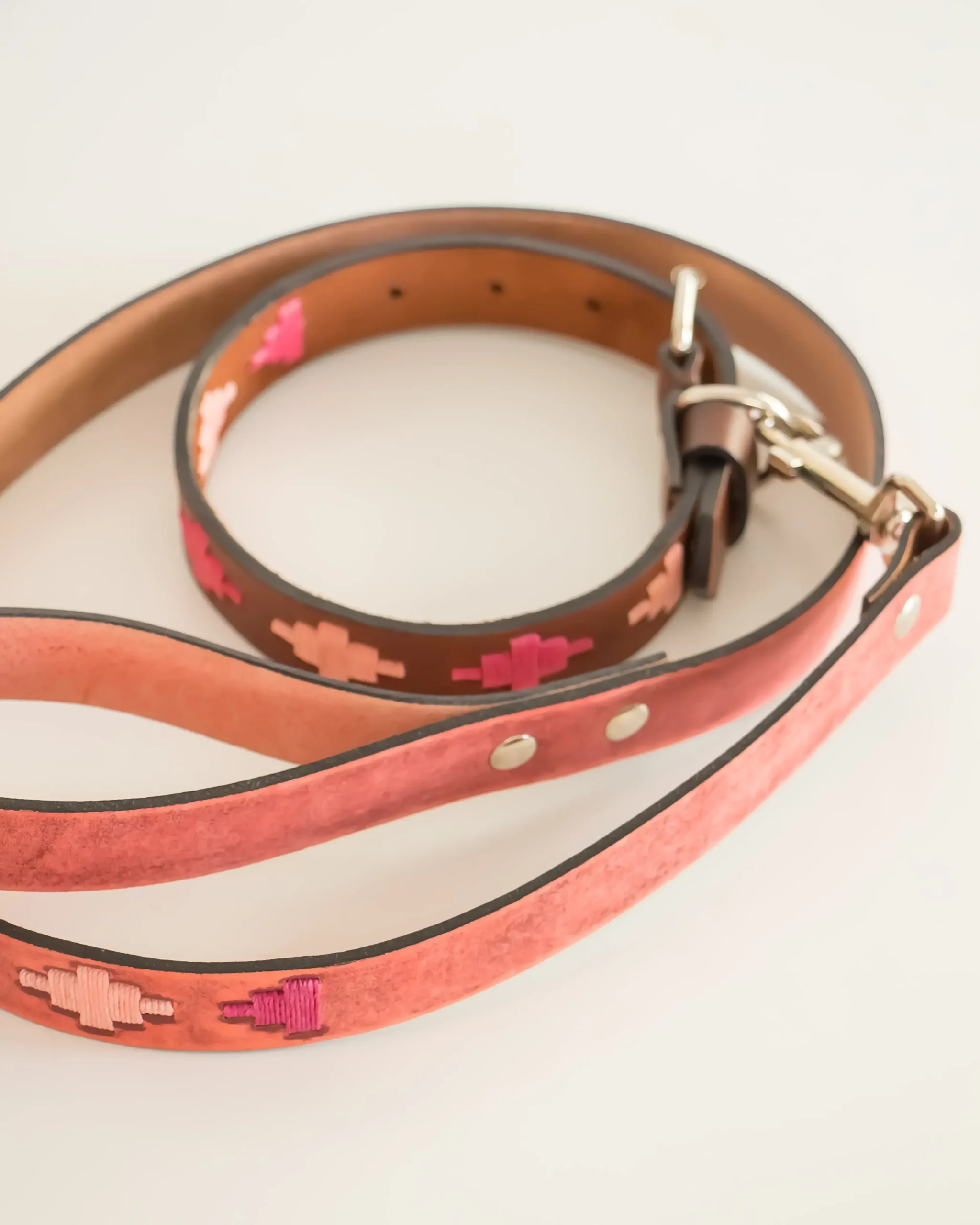 Coleira para cães Gaucho Gala
