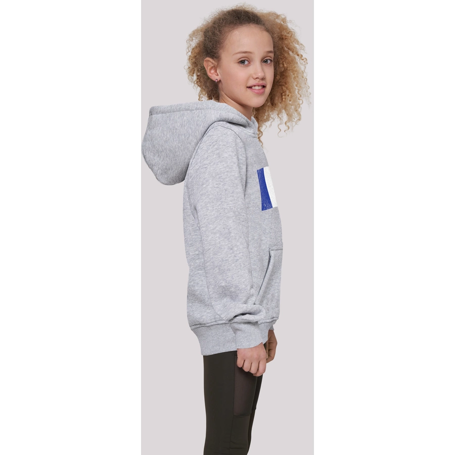 F4NT4STIC Hoodie France Frankreich Flagge distressed heather grey