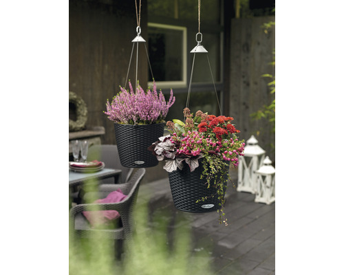Lechuza Nido Cottage ronde hangpot Ø 27 cm zwart incl. zelfbewateringssysteem