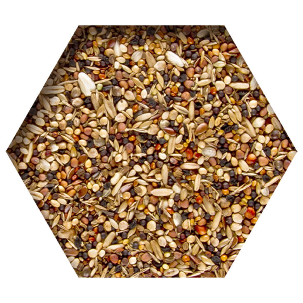 Beyers Moulting Support 2 kg