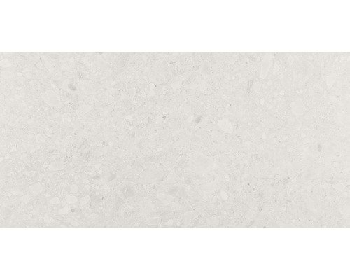 Porseleinen wand- en vloertegel Terrazzo Donau beige 60 x 120 cm gerectificeerd
