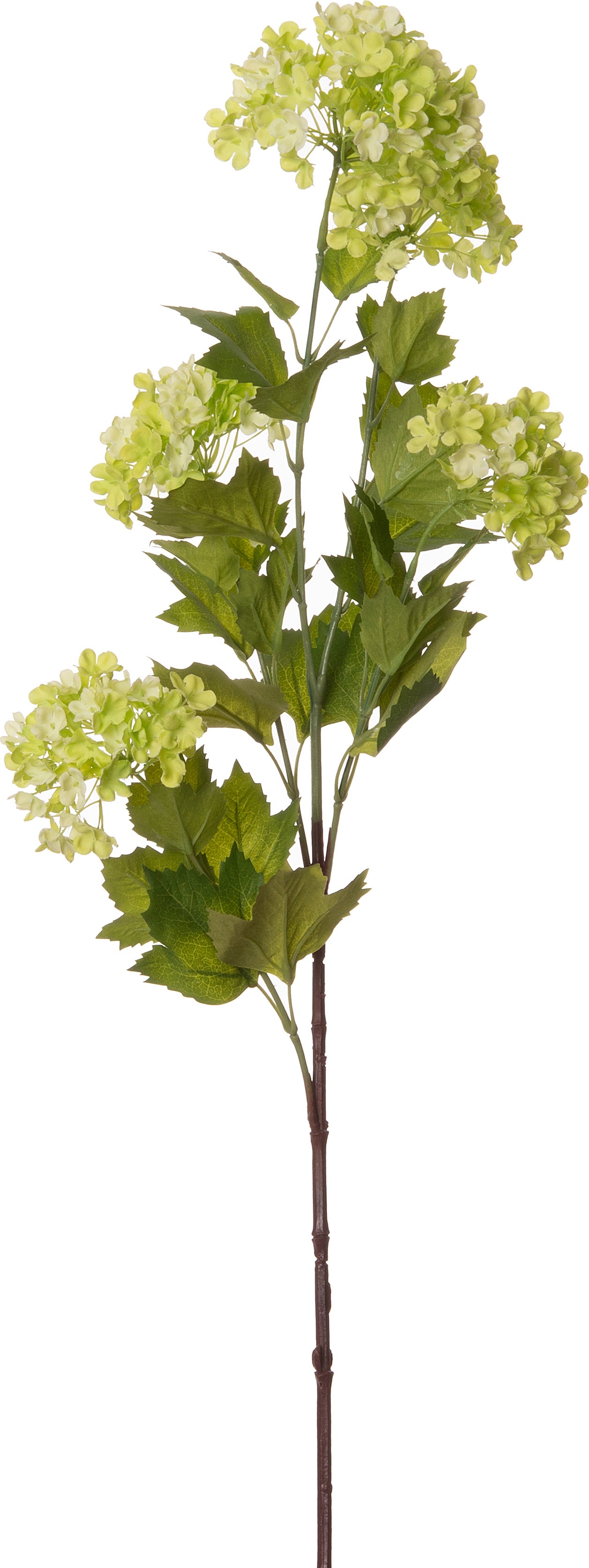 Intratuin kunstbloem Sneeuwbal groen 87 cm
