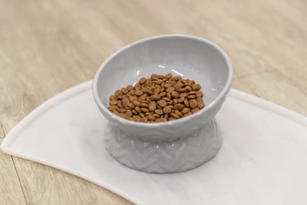 Trixie Bowl, elevated, ceramic, 0.35 l/ø 17 cm, grey