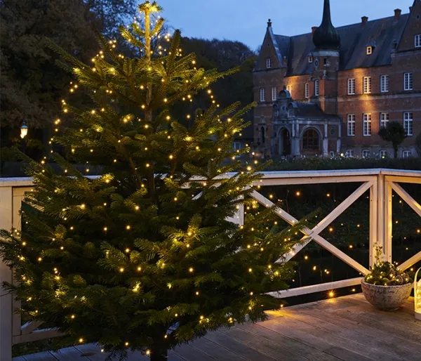 Sirius Knirke Juletræslys 234 LED - Klar/Grøn