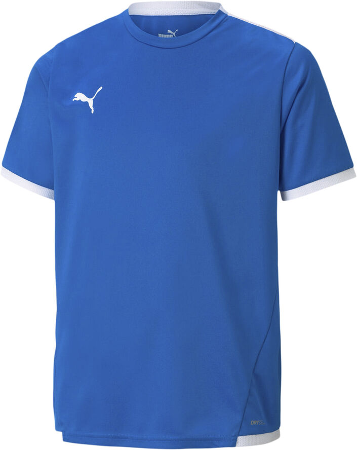 Puma Teamliga T-shirt Blå