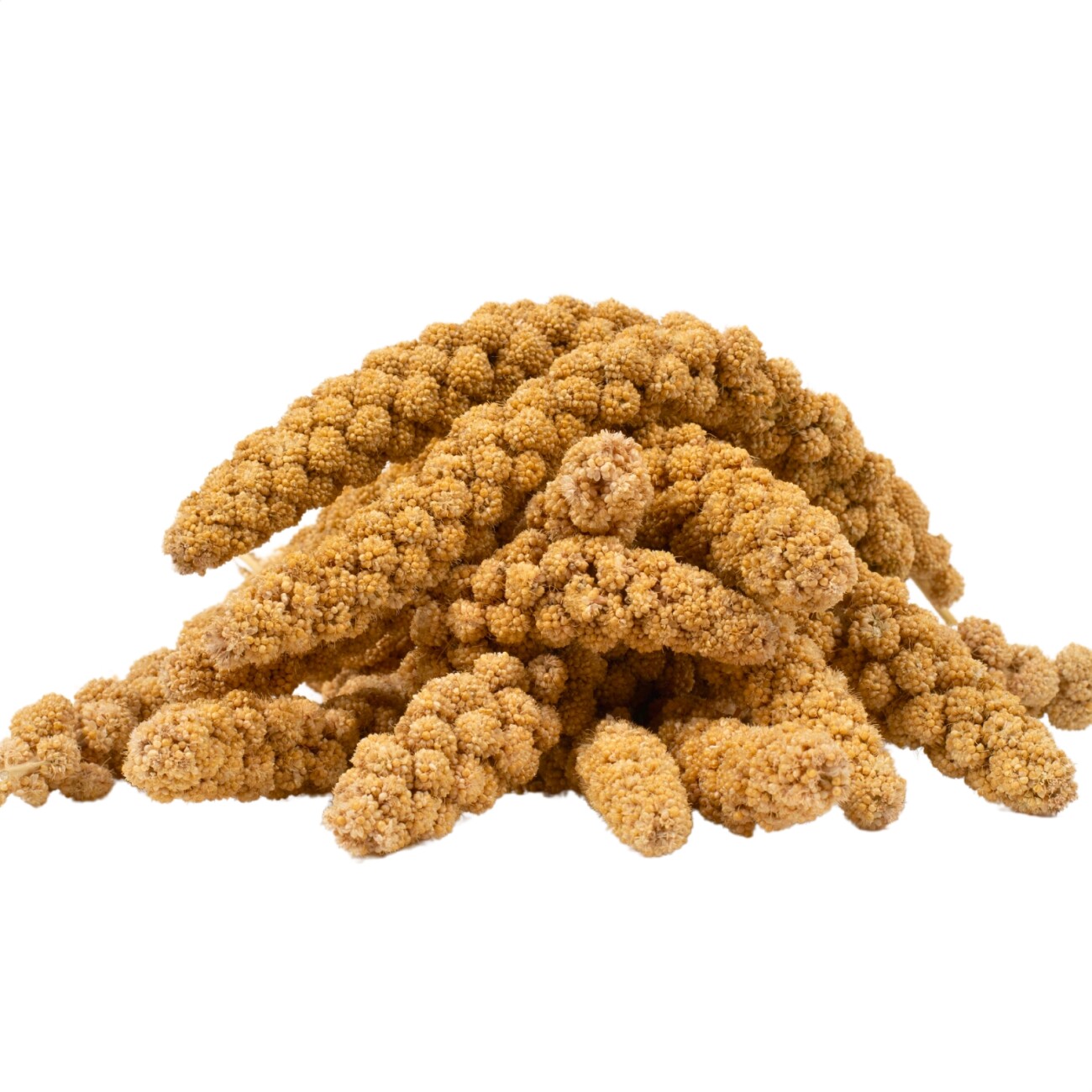 Lyra Pet Kolbenhirse gelb 1 kg