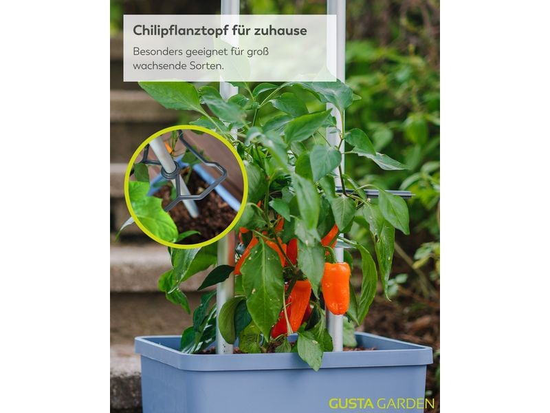 Gusta Garden Aufzuchttöpfe Charly Chili XL Blau Chilitopf mit Rankhilfe