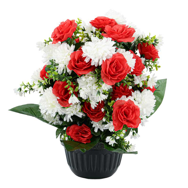 Potée de chrysanthèmes et roses