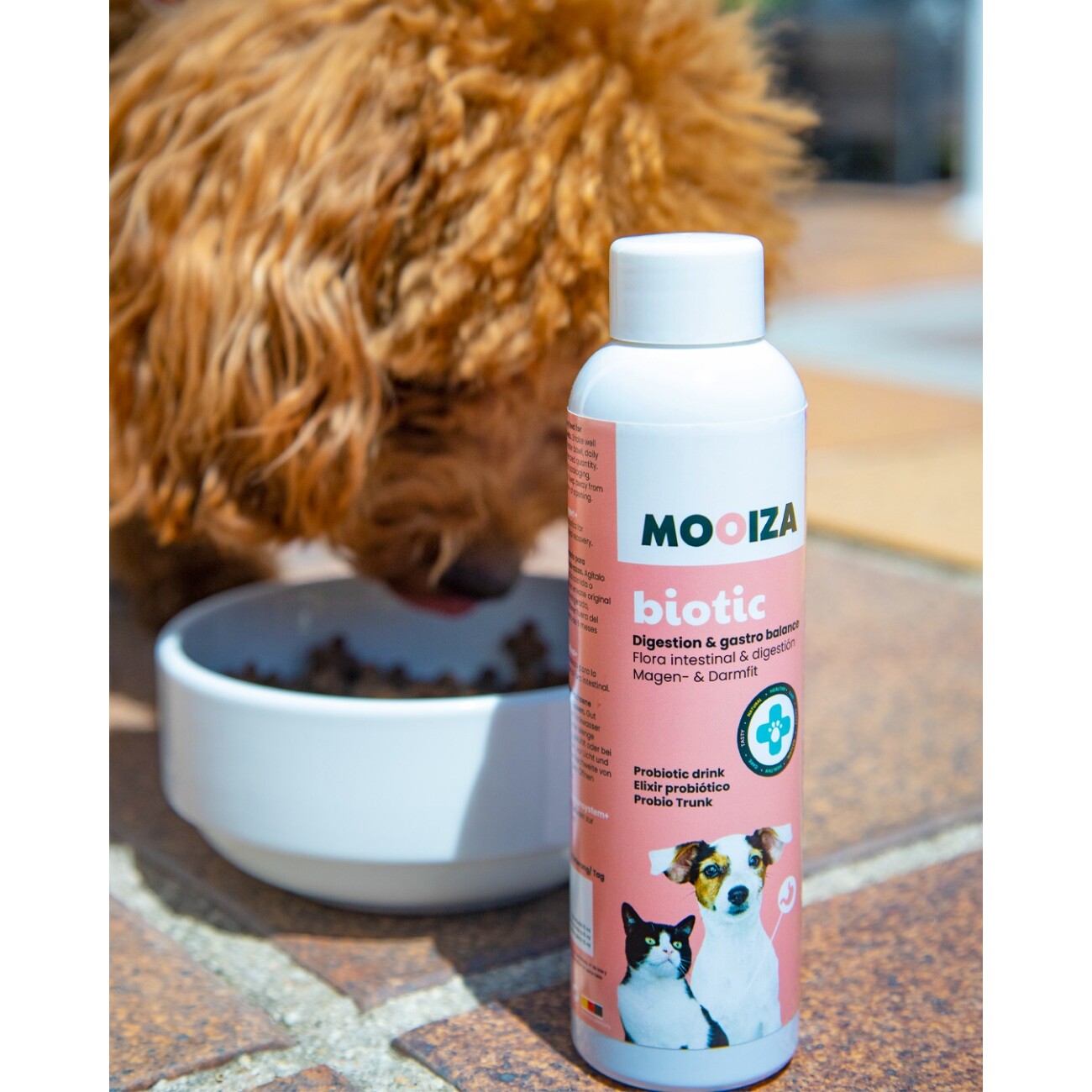 Mooiza Pet Biotic Pro