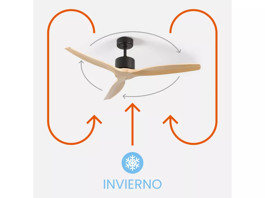 Nebraska Dayron Ventilateur de plafond 3 pales 55W 6 vitesses