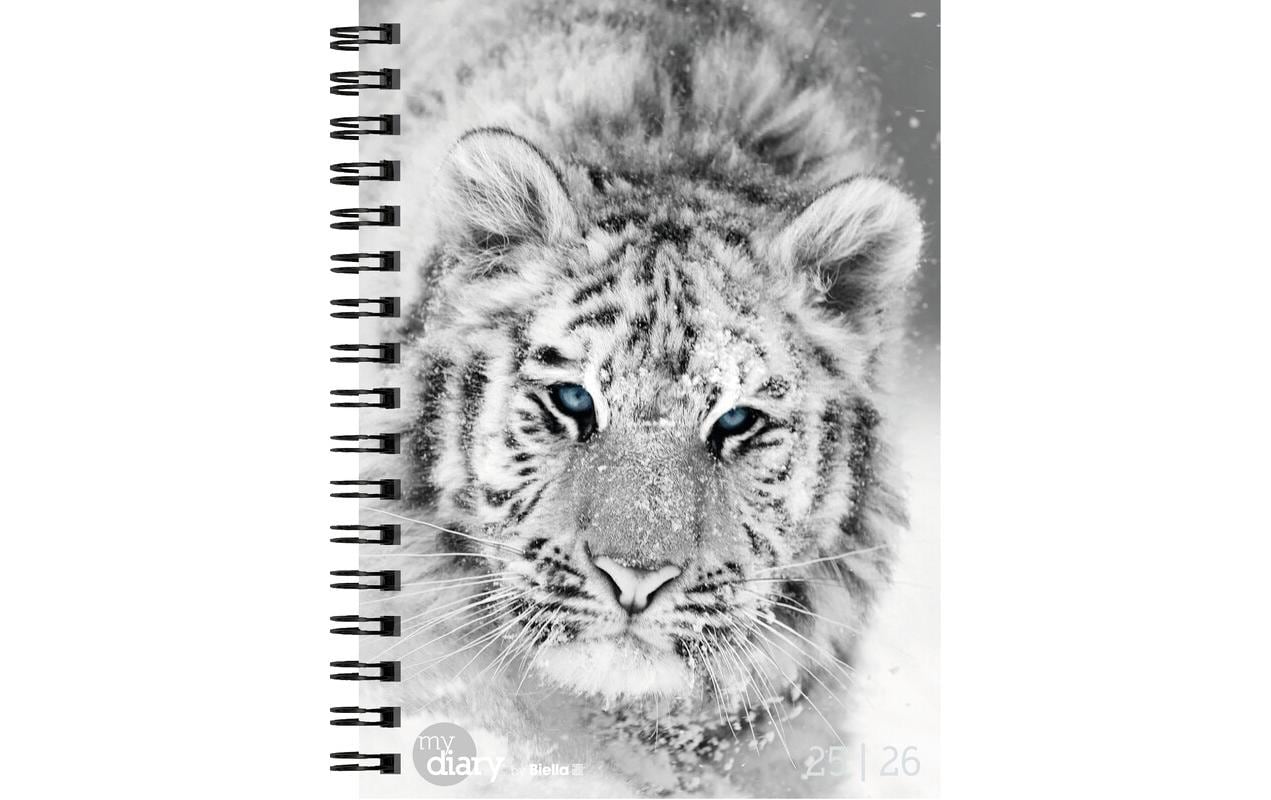 Schüleragenda Mydiary 25/26 FSC, 3½T/1S, 12 x 16.5 cmModerner Terminplaner für Jugendliche