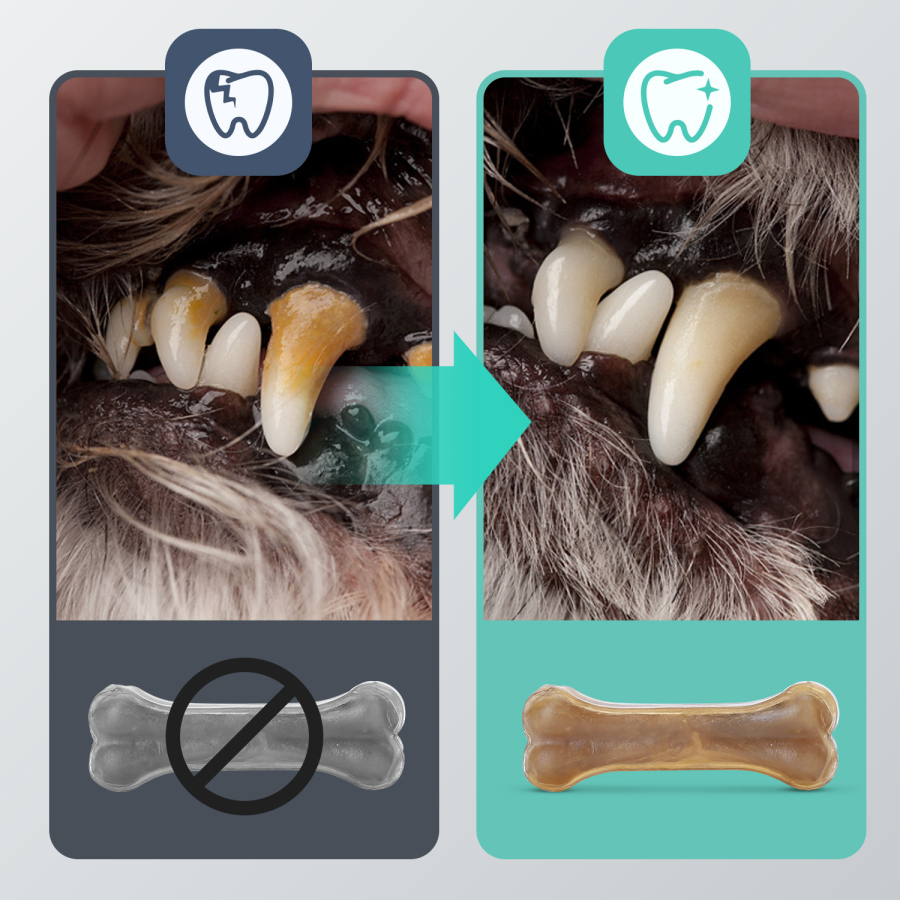 Nobleza - Osso prensado para cães, fortalecedor de dentes
