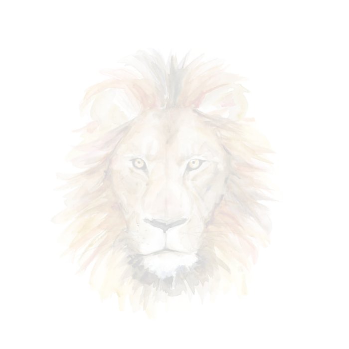 Michelle Dujardin | Verjaardagskaart | Born to be wild | Aanpasbare naam