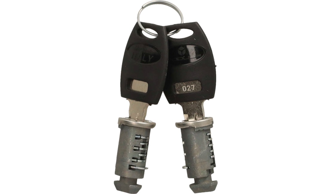 2 x låsecylinder 2 x nøgle Paddock DEZO