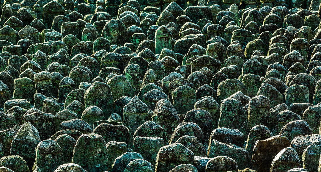 1000 Buddhas by Farin Urlaub - Limited Edition. Edition of: 100. Signed.