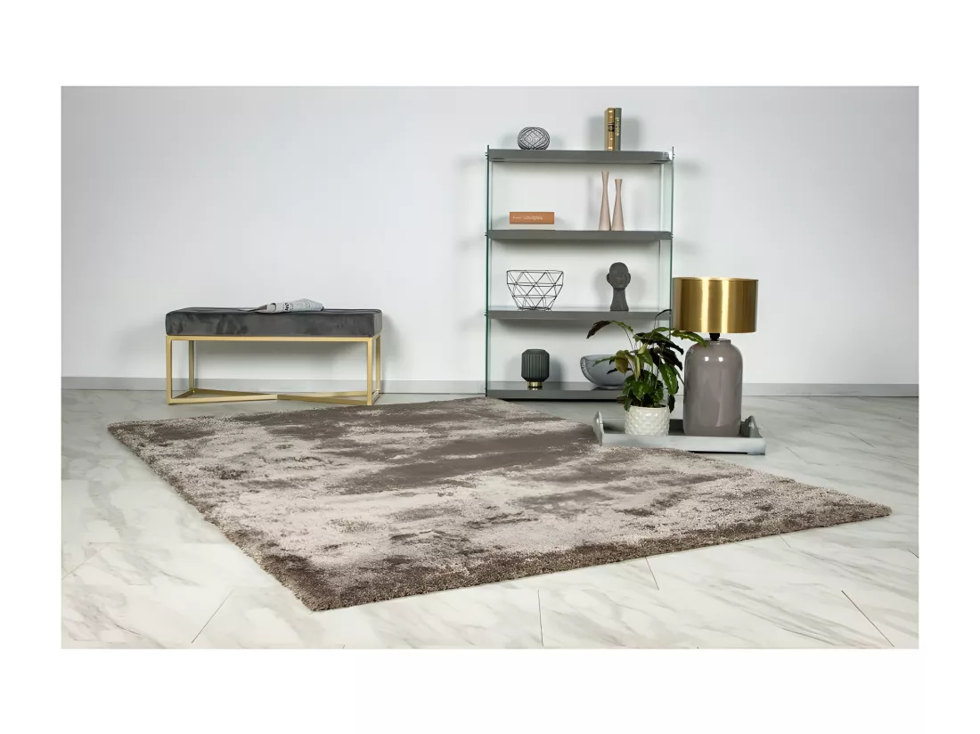 Tapis 170x120cm, design G008R coloris taupe - Confort et élégance pour votre intérieur