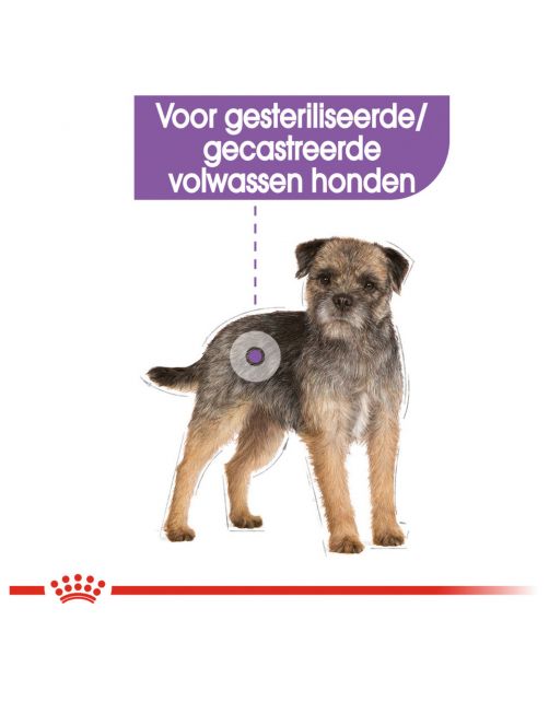 Royal Canin Sterilised Mini - Hondenvoer