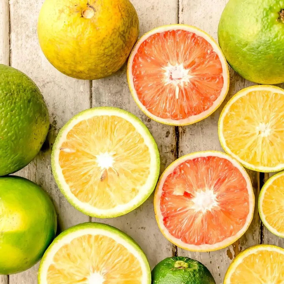 Mix fruitbomen - Set van 3 - Citrus limon - Hoogte 25-40cm - ⌀9cm