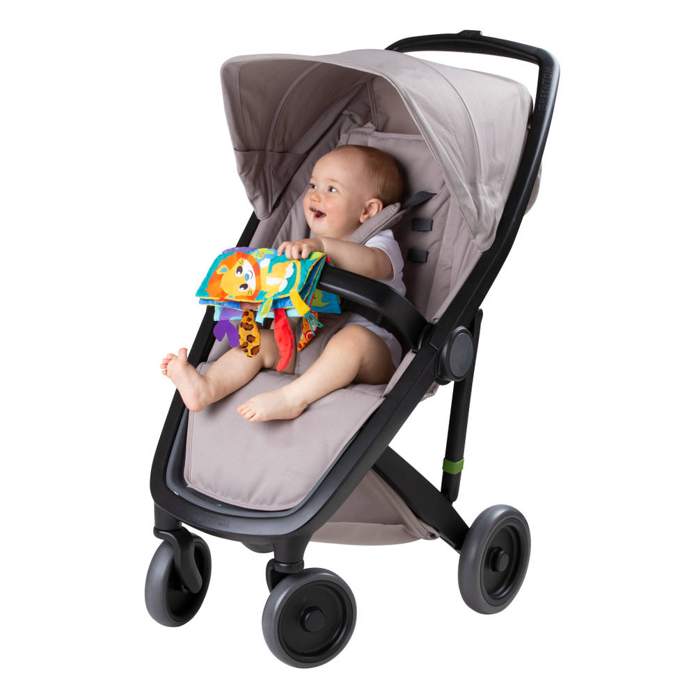 Playgro activiteitenboek staartjes