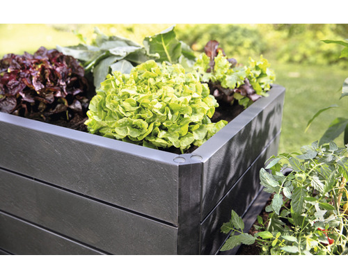 Klassieke verhoogde tuinbak GARANTIA ERGO Quadro L 75 incl. Flora waterbesparend systeem 80 x 80 x 75 cm steen