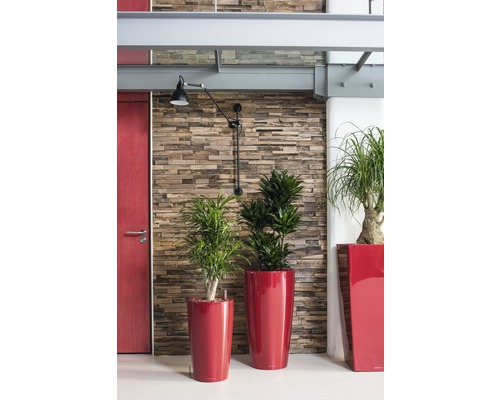 Lechuza Rondo plantenbak Ø 32 cm H 56 cm rood incl. zelfbewateringssysteem, plantenbak, substraat en waterniveau-indicator
