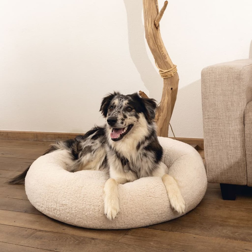Lit pour chien mousse à mémoire de forme jaxx 50x20 cm beige