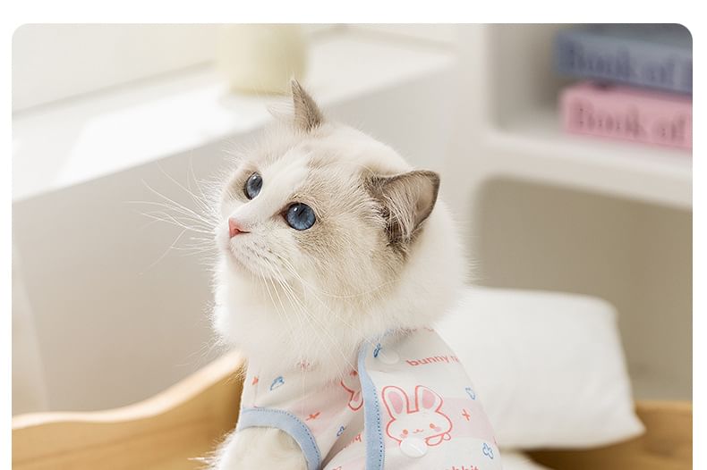 Cissilli - Bear Pet Recovery Top