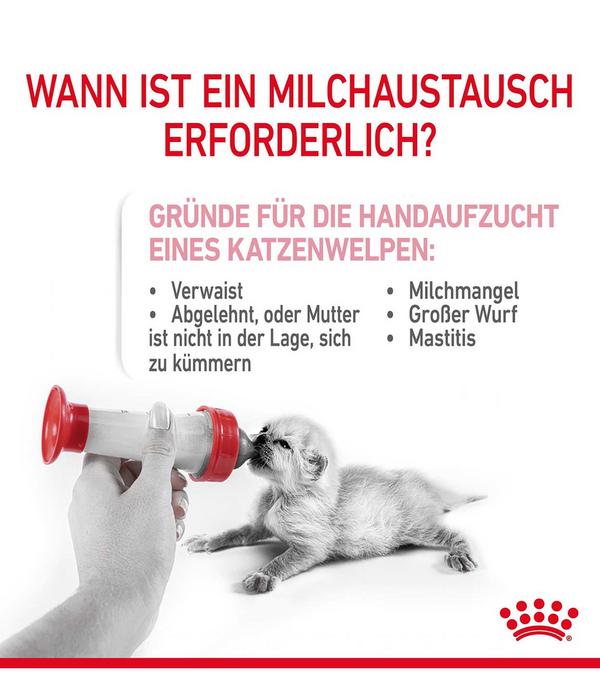 ROYAL CANIN® Babycat Milk, 300 g