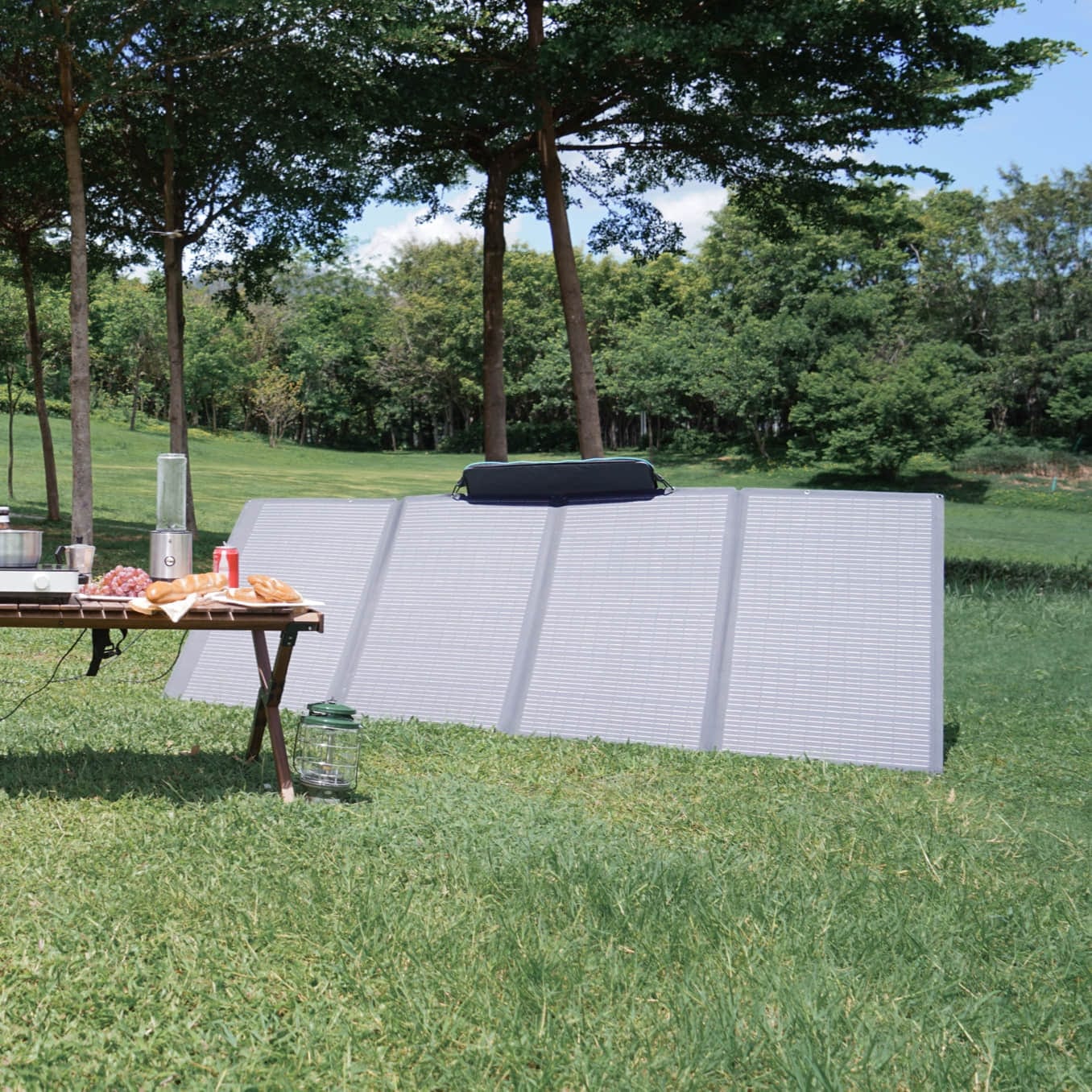 EcoFlow 400 W Tragbares Solarpanel