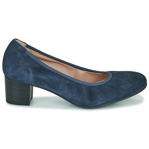 Dorking - GEMINIS - Bleu